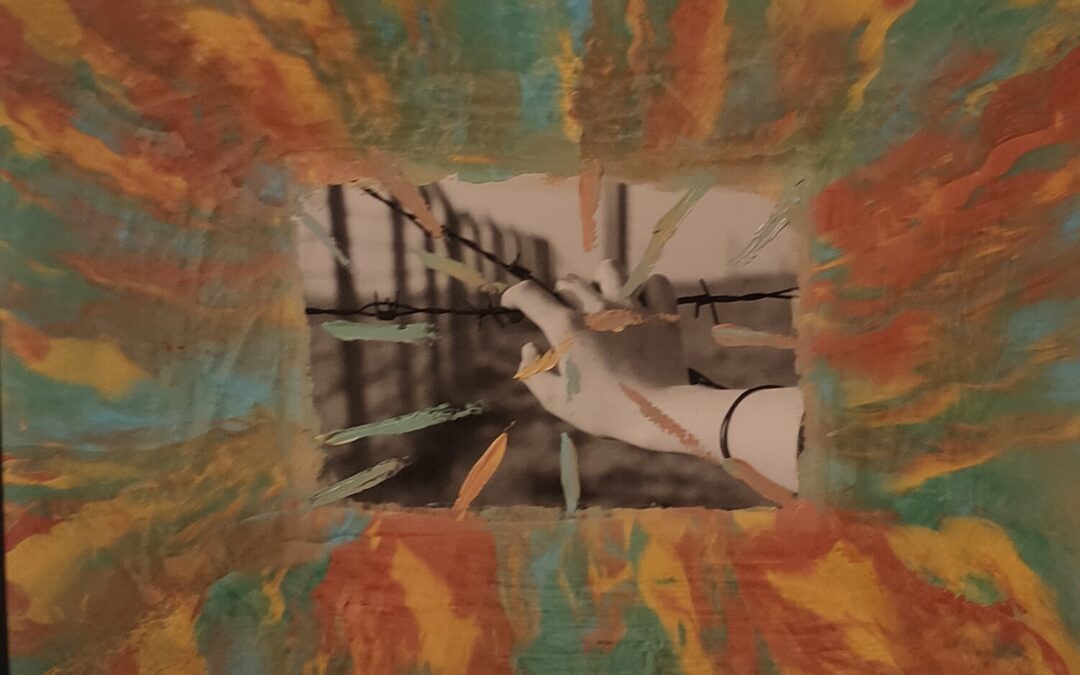 Confini 05